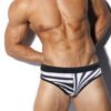 24c137b0-fac6-4f56-b489-27bc2ee6183c.jpg Zebra Print Swimming Trunks Male Sexy Personality Low Waist Briefs