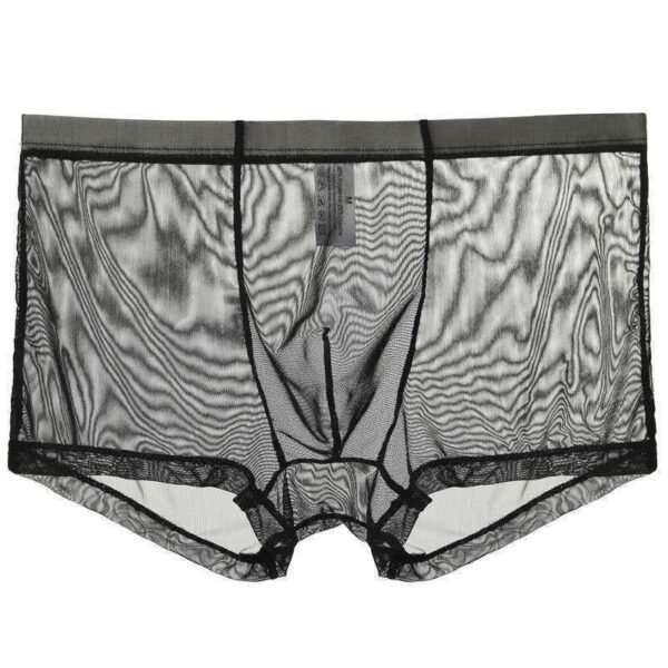 Men's Fashion Breathable Sexy Ice Silk Shorts