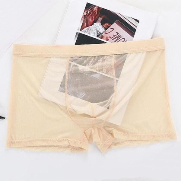 Men's Fashion Breathable Sexy Ice Silk Shorts