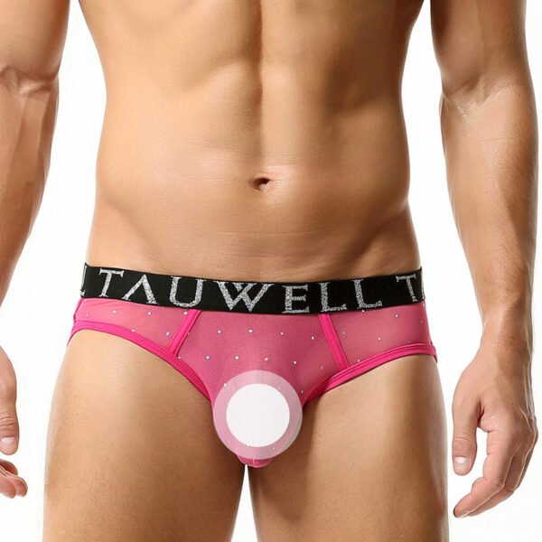 319189c5-559b-4146-8414-1f3ffd38dc49.jpg Sexy Briefs Sexy Double Ding