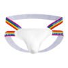 597df987-1d31-4d63-9abc-5ca4b0fcbb67.jpg Rainbow Thong Low Rise Cotton Shorts