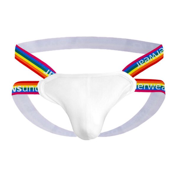 597df987-1d31-4d63-9abc-5ca4b0fcbb67.jpg Rainbow Thong Low Rise Cotton Shorts