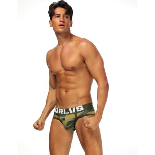 6070958479534.jpg Underpants low waist sexy camouflage briefs male youth cotton briefs shorts