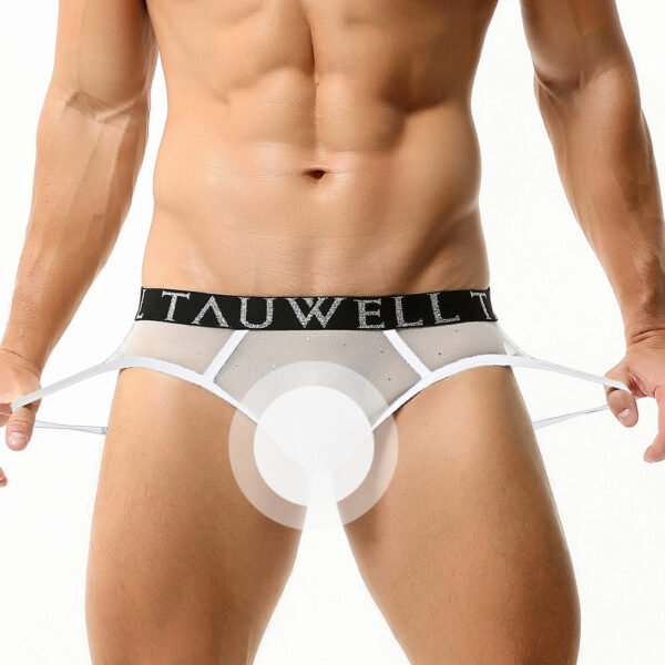 6770b1af-ecbd-47f6-9e80-9b01ae9dd045.jpg Sexy Briefs Sexy Double Ding