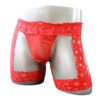 Men's Sexy Transparent Lace Bag Underwear Flat Leg Leggings Sexy Underwear