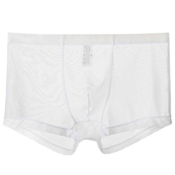 Men's Fashion Breathable Sexy Ice Silk Shorts