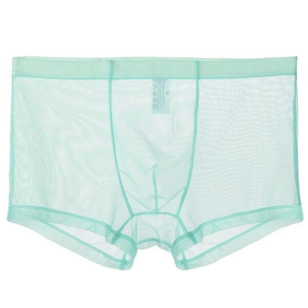 Men's Fashion Breathable Sexy Ice Silk Shorts
