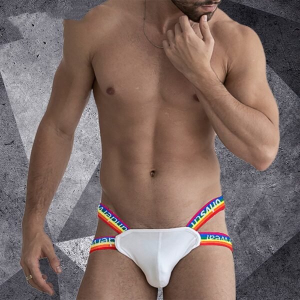 95e7d4c5-0395-44e4-b571-69571bfdd875.jpg Rainbow Thong Low Rise Cotton Shorts