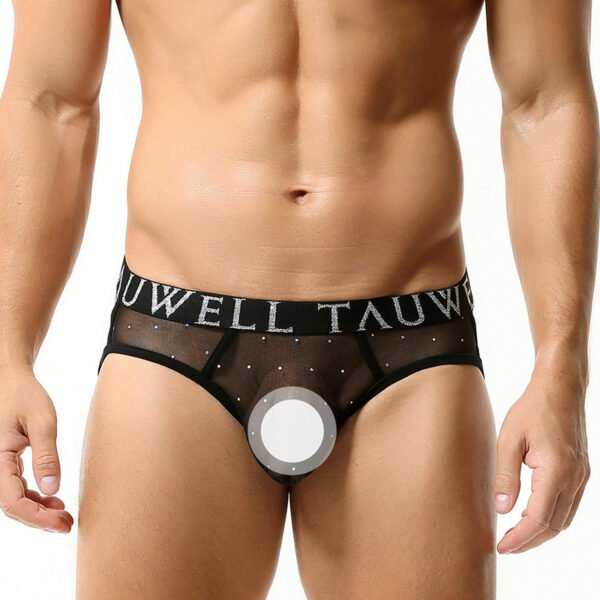 a38d120f-0ab2-4db0-ad8e-5822a02906c4.jpg Sexy Briefs Sexy Double Ding