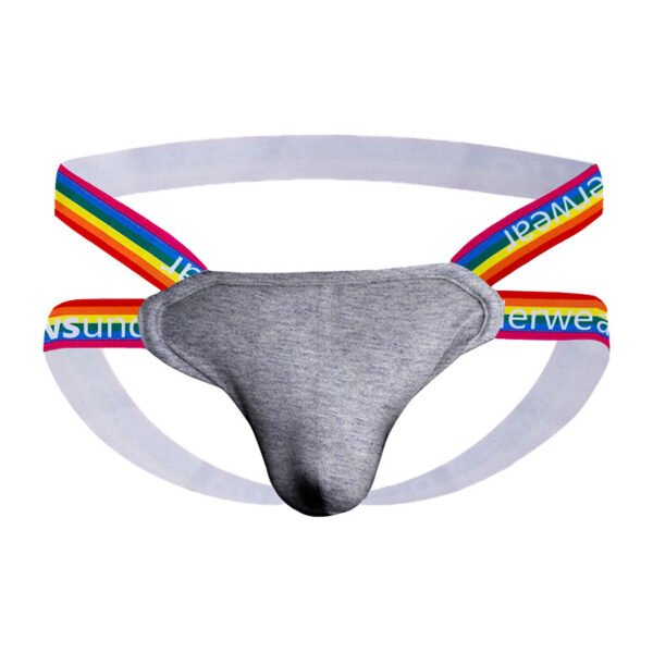 a47995b9-019a-47ab-a0c3-c67e49a00e3b.jpg Rainbow Thong Low Rise Cotton Shorts