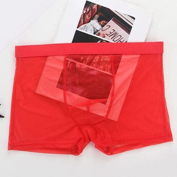 Men's Fashion Breathable Sexy Ice Silk Shorts