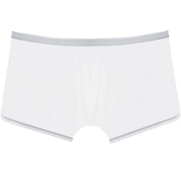 Men's Fashion Breathable Sexy Ice Silk Shorts