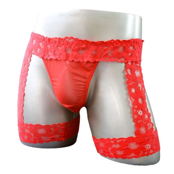 Men's Sexy Transparent Lace Bag Underwear Flat Leg Leggings Sexy Underwear