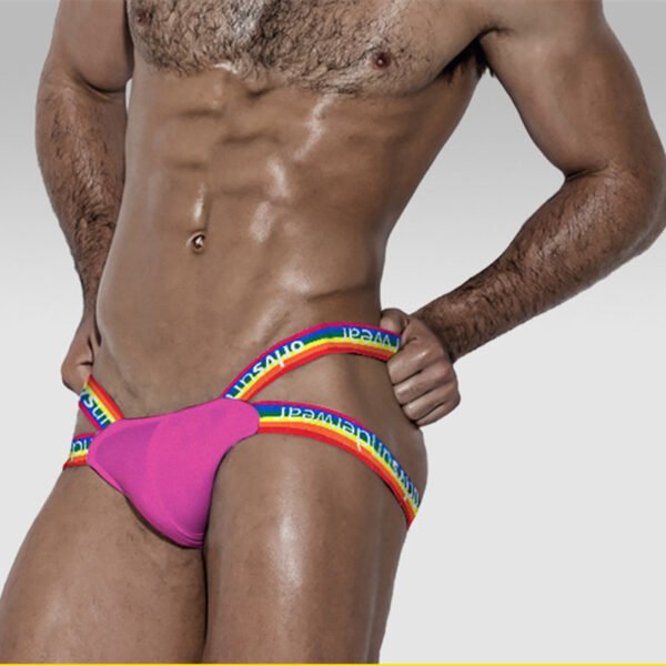 fe035f58-477a-4094-9831-7dd7a3ec3d15.jpg Rainbow Thong Low Rise Cotton Shorts